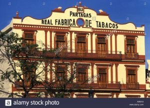 real-fabrica-de-tabacos-partagas-cigar-factory-havana-cuba-a90312