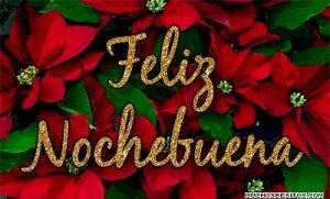 nochebuena-portada