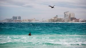 587f2151c361881f468b4595