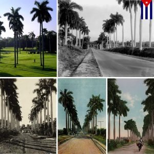 552431_533358566676185_40069163_n