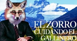 zorro-cuidando-el-gallinero