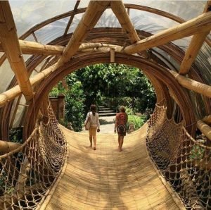 2b61b481f52d2e670a62f16065e1850c