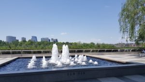 32130581_1918259971517740_5942734119040450560_n