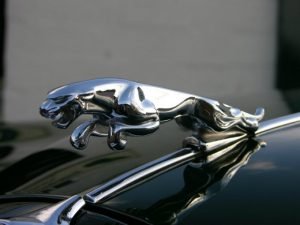 jaguar-autos-datos-curiosos-1