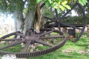 Parque-Nacional-La-Demajagua-696x463